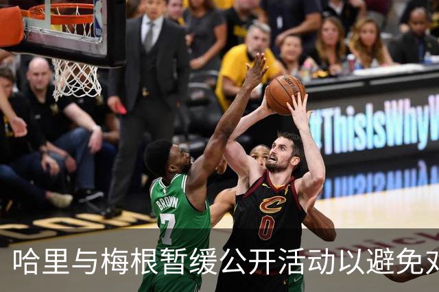 哈里与梅根暂缓公开活动以避免对国王行程的干扰